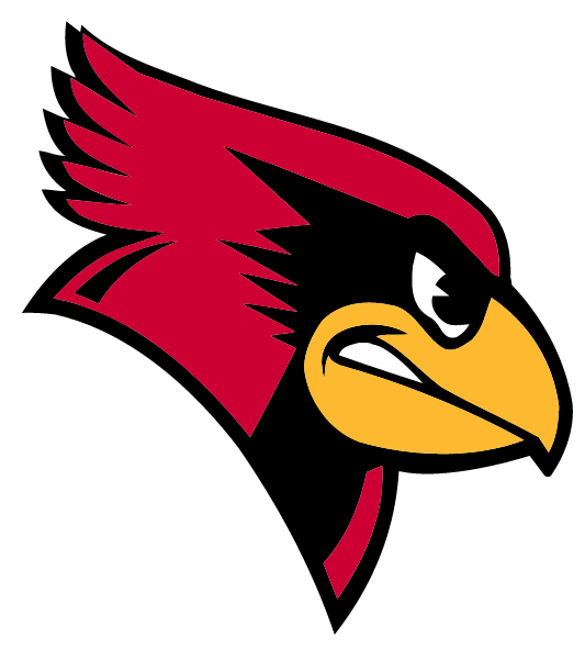 TAYLOR COUNTY HIGH SCHOOL Logo