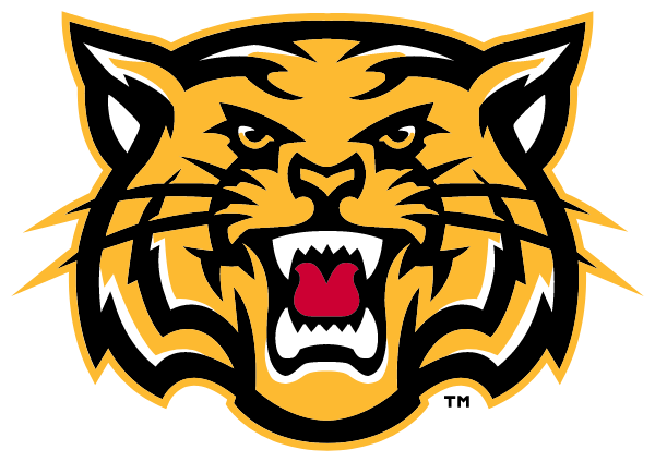 PAINT VALLEY HIGH SCHOOL Logo