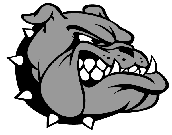 LOVELL HIGH SCHOOL Logo