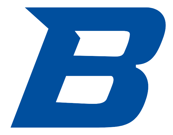 BROOKFIELD R-3 HIGH SCHOOL Logo