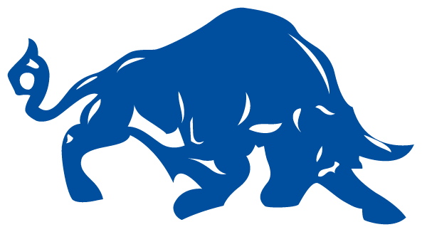 MOUNTAIN VIEW HIGH SCHOOL Logo