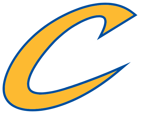 COVENTRY HIGH SCHOOL Logo