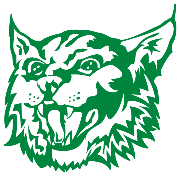 BRONAUGH HIGH SCHOOL Logo