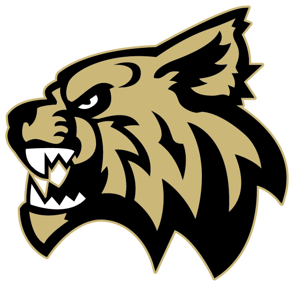 BLACKSBURG HIGH SCHOOL Logo