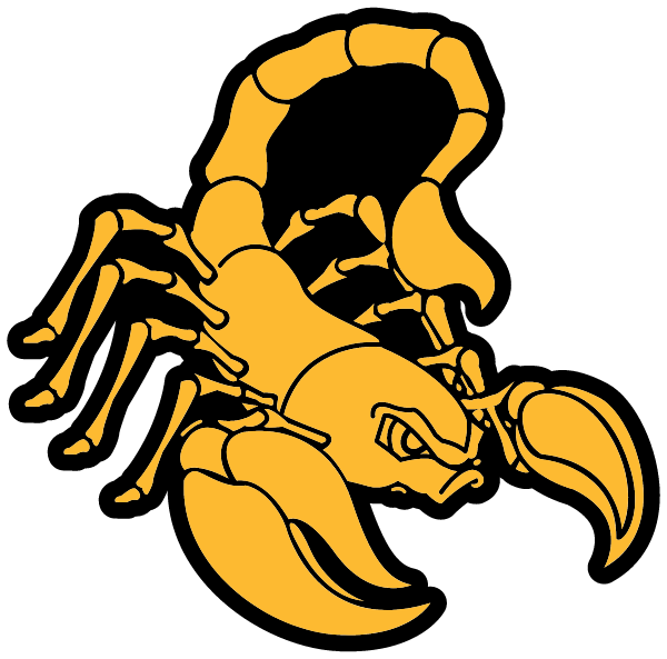 BOSWELL HIGH SCHOOL Logo
