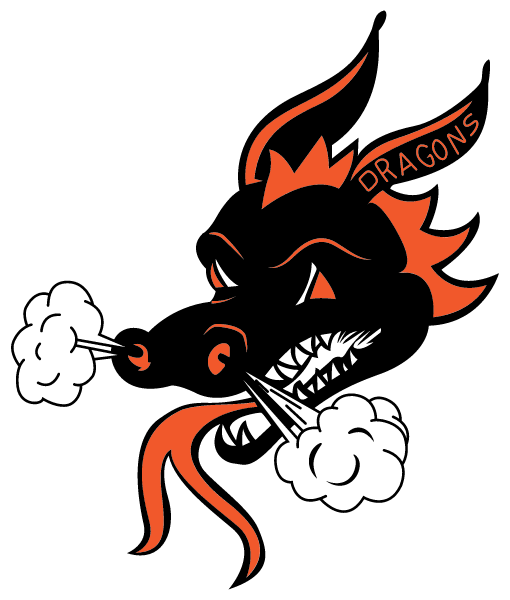 DALLAS HIGH SCHOOL Logo