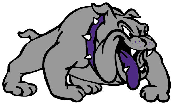 BOYCEVILLE HIGH SCHOOL Logo