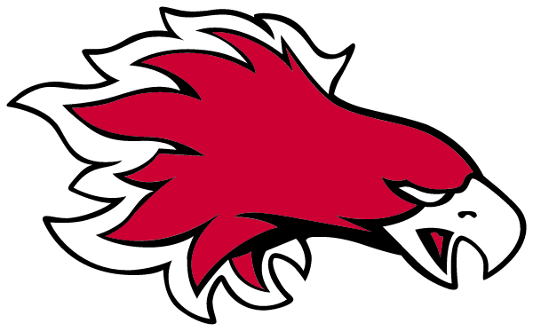 DEVILS LAKE HIGH SCHOOL Logo