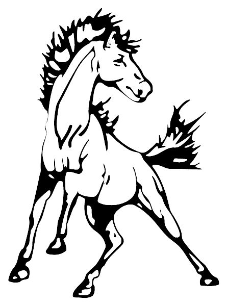 Walt Morey Middle School Mustangs (Troutdale, Oregon) Spirit Apparel & Accessories Store