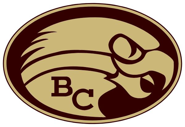 BETHLEHEM CATHOLIC Sideline Store Golden Hawks (BETHLEHEM, Pennsylvania) Spirit Apparel & Accessories Store