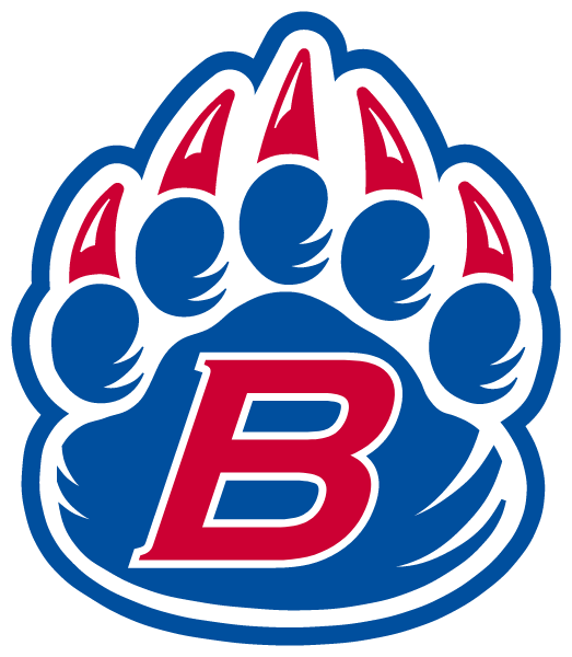 B G M COMMUNITY HIGH SCHOOL Logo