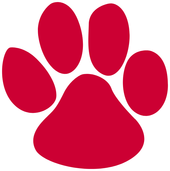 BRUNSWICK R-2 HIGH SCHOOL Logo