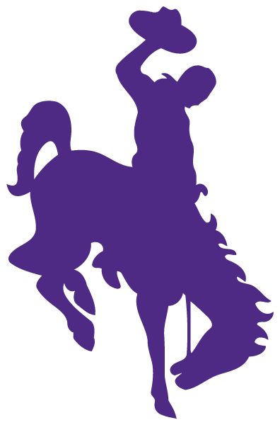 NORTH GEM SENIOR HIGH SCHOOL Sideline Store Cowboys (BANCROFT, IDAHO) Spirit Apparel & Accessories Store