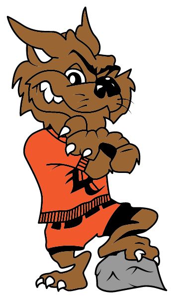 LYNN CAMP HIGH SCHOOL Sideline Store Wildcats (CORBIN, KENTUCKY) Spirit Apparel & Accessories Store