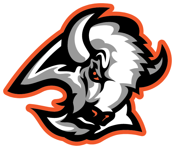 VALLEY HIGH SCHOOL Logo
