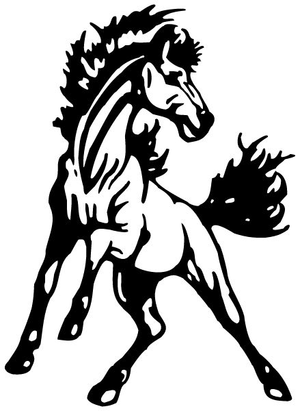 LUND HIGH SCHOOL Sideline Store Mustangs (LUND, NEVADA) Spirit Apparel & Accessories Store