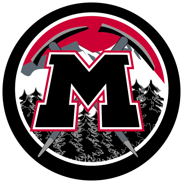 BERLIN HIGH SCHOOL Logo