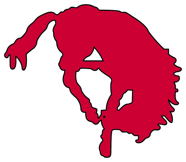 RAWLINS HIGH SCHOOL Logo