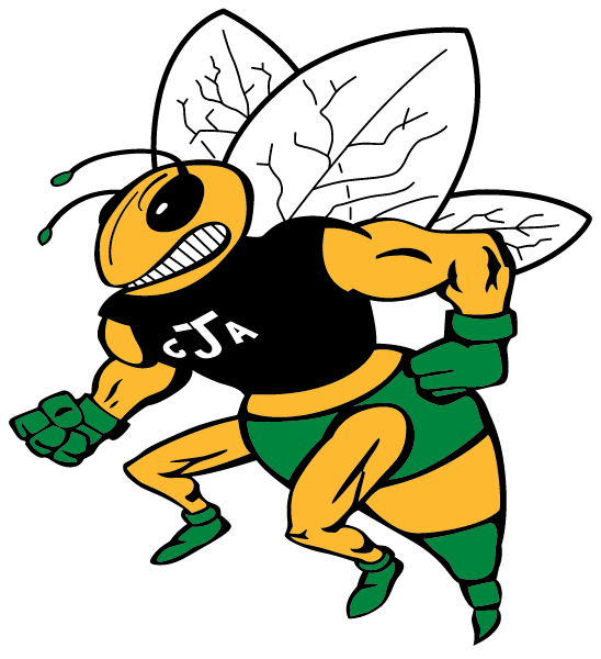 C A JOHNSON HIGH SCHOOL Logo