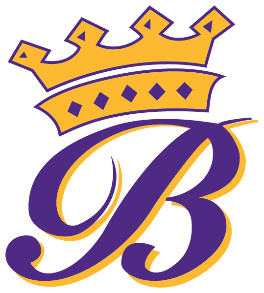 BLISSFIELD HIGH SCHOOL Logo