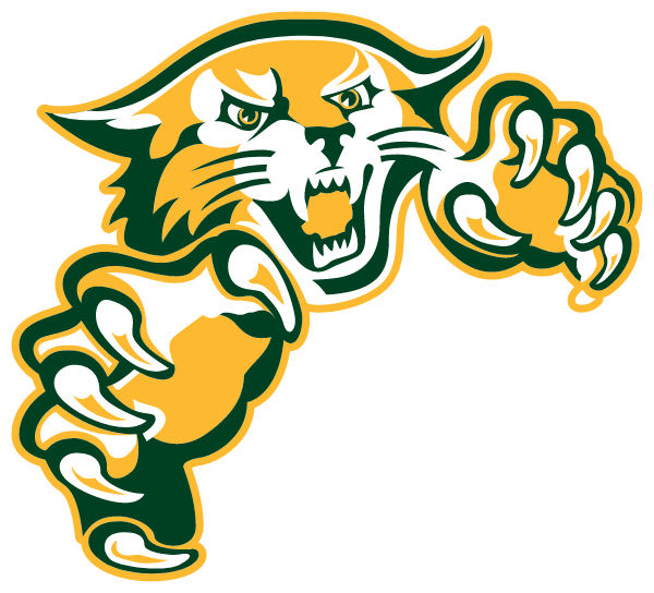 GREAT BRIDGE HIGH SCHOOL WILDCATS - CHESAPEAKE, VIRGINIA