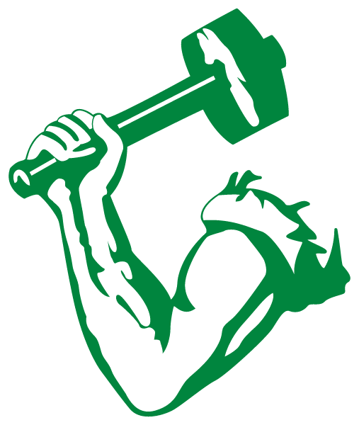 SPRINGFIELD HIGH SCHOOL Logo