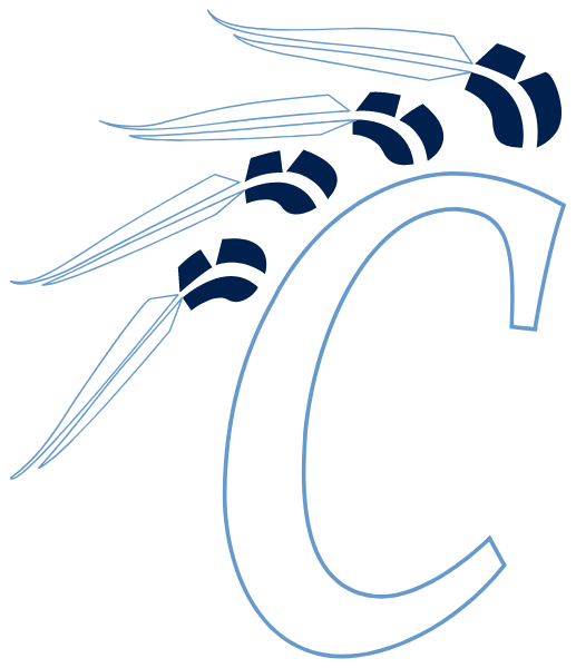 CLEARWATER HIGH SCHOOL Logo