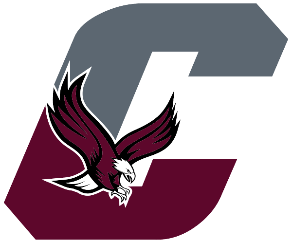 CHICHESTER HIGH SCHOOL Logo