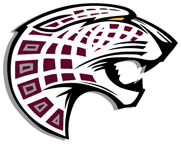 Desert View High School Athletics Logo