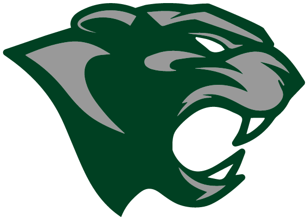 NORTH STAR HIGH SCHOOL Logo