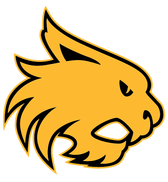 CORNING SCHOOL DISTRICT 8 Logo