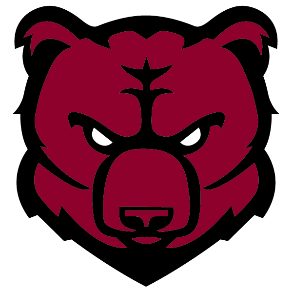 BUNKER HILL HIGH SCHOOL Logo