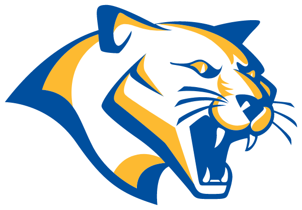 SOUTHWESTERN RANDOLPH HIGH Logo