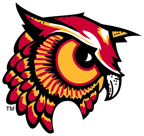 BRADFORD AREA HIGH SCHOOL Logo