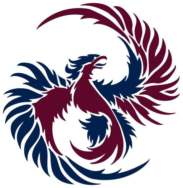 PALMETTO SCHOLARS ACADEMY Sideline Store Phoenix (NORTH CHARLESTON, South Carolina) Spirit Apparel & Accessories Store