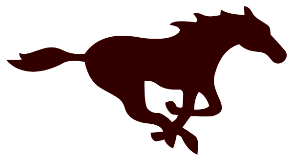 SANDS HIGH SCHOOL Logo