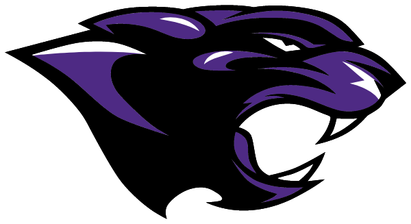 DAWSON SPRINGS HIGH SCHOOL Logo