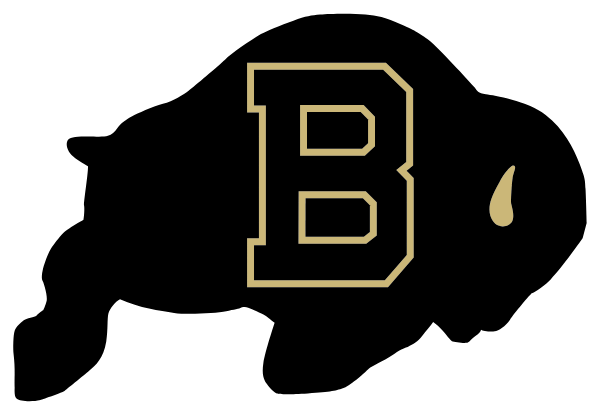 BUFFALO HIGH SCHOOL Logo