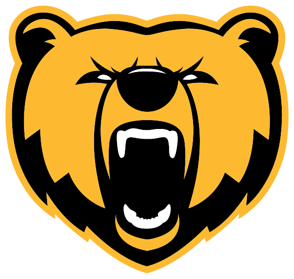 BYRON HIGH SCHOOL Logo