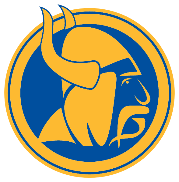 DENMARK-OLAR HIGH SCHOOL Logo