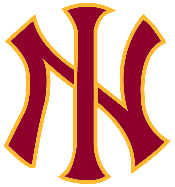 Indiana Nitro Baseball Logo