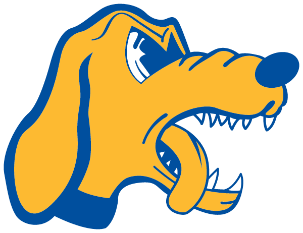 AUBURNDALE SENIOR HIGH SCHOOL Logo