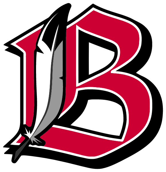 BRIMFIELD HIGH SCHOOL Logo