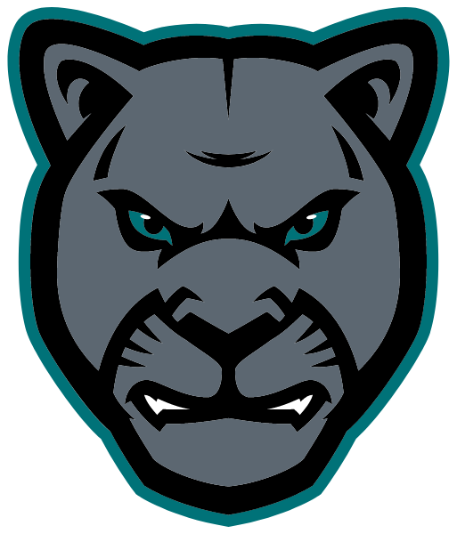 NORTH VALLEYS HIGH SCHOOL Logo