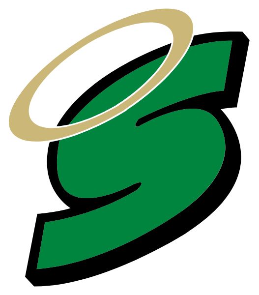 SETON CATHOLIC CENTRAL HIGH SCH Sideline Store Saints (BINGHAMTON, NEW YORK) Spirit Apparel & Accessories Store