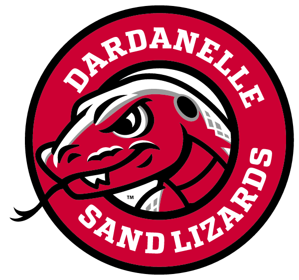DARDANELLE HIGH SCHOOL Logo