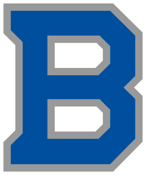BRILLIANT HIGH SCHOOL Logo