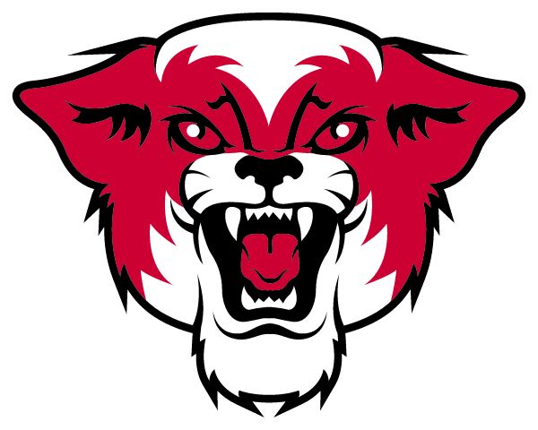 CUNNINGHAM HIGH SCHOOL Sideline Store Wildcats (CUNNINGHAM, KANSAS) Spirit Apparel & Accessories Store