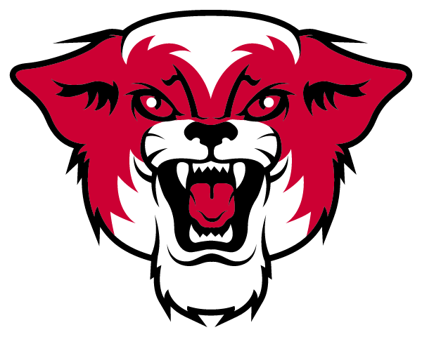 CUNNINGHAM HIGH SCHOOL Logo