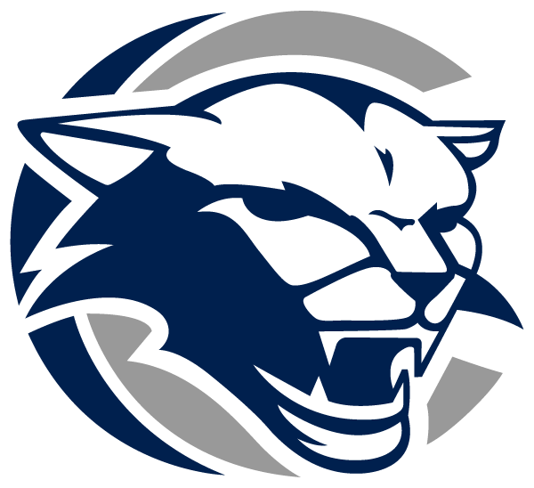 CLINTON HIGH SCHOOL Logo